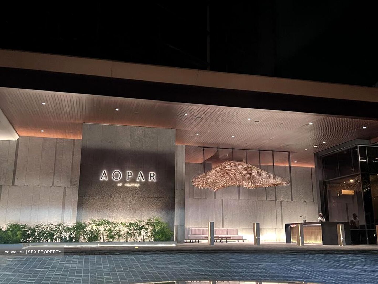 Kopar At Newton (D9), Apartment #497858671